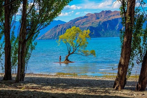 ニュージーランド南島のワナカ湖