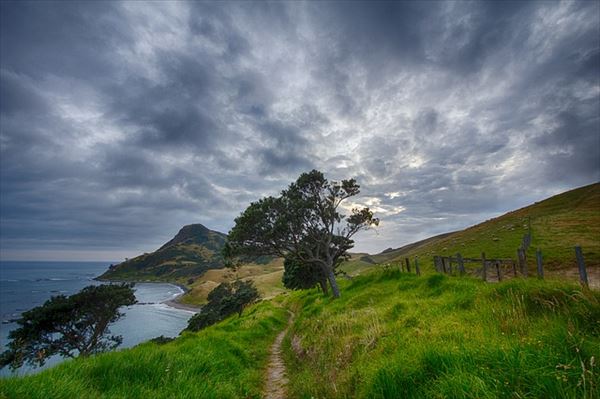 ニュージーランドは1日に四季が有る