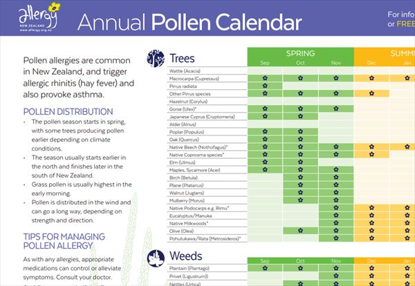 花粉の飛散カレンダー